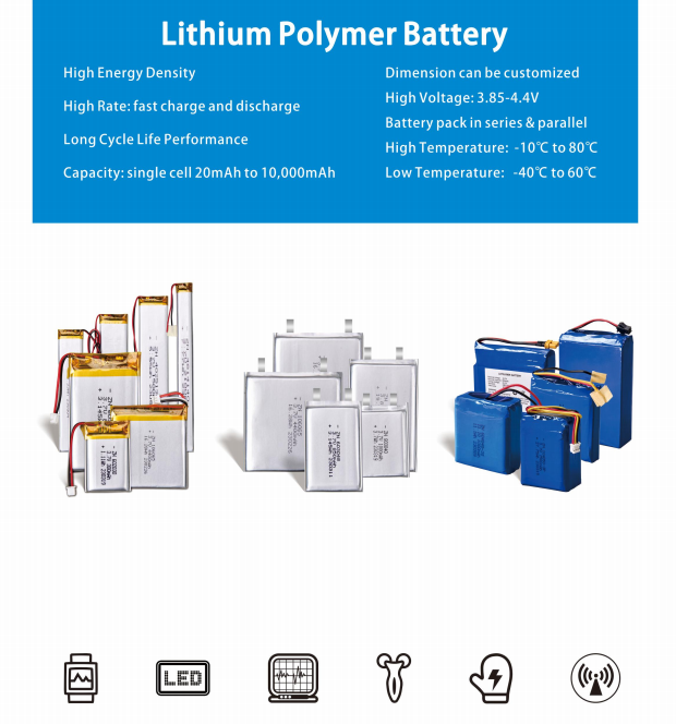 Lithium Polymer Battery